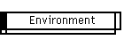Environment