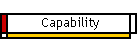 Capability