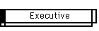 Executive